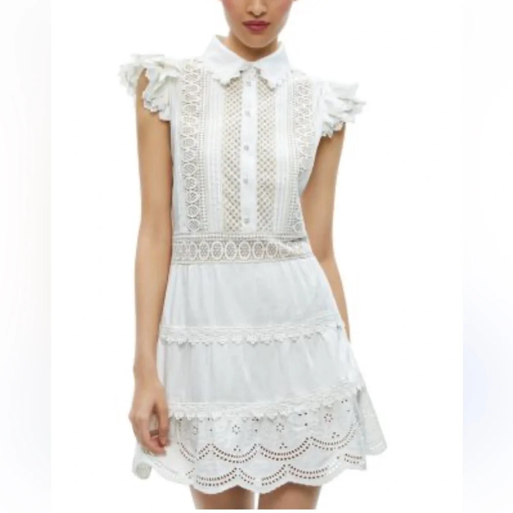 Alice + Olivia Meeko Embroidered Ruffle Sleeve Dress - Picture 2 of 8